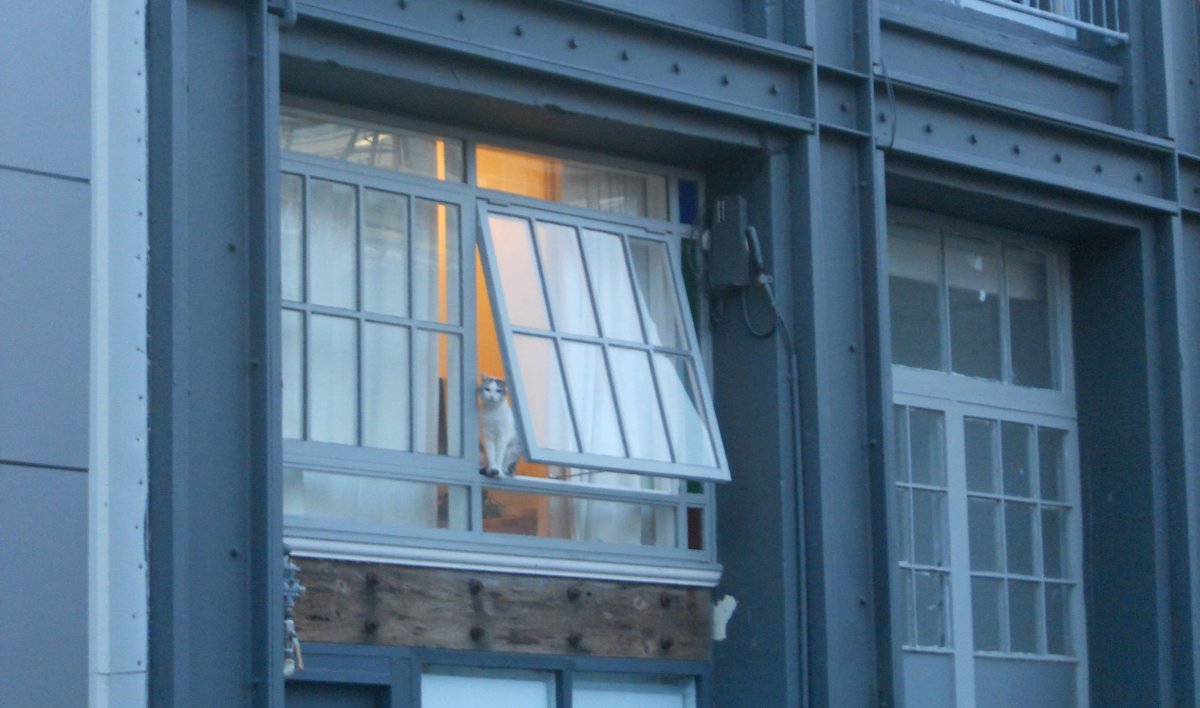 Windows Insets + Fragment Transitions