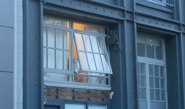 Windows Insets + Fragment Transitions